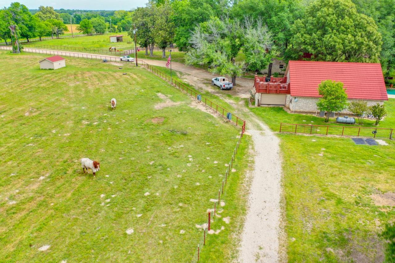 Dog-Friendly Wills Point Home With Grill On 10 Acres 캔턴 외부 사진